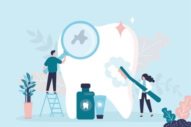 Best Traditional Braces  in Chaska, MN